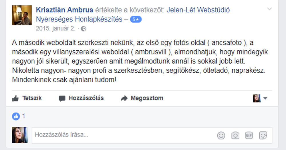 Ambrus Krisztián, az ambrusvill.hu tulajdonosa - aki 1-2 helyezett lett a Google keresőben - így nyilatkozott